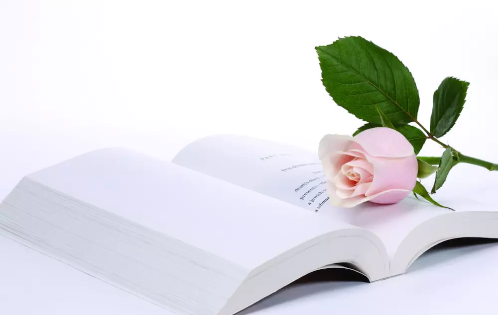 �϶������̱�����